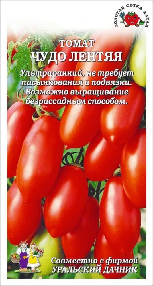 Помидоры чудеса описание сорта фото отзывы Томат чудо лентяя - CormanStroy.ru