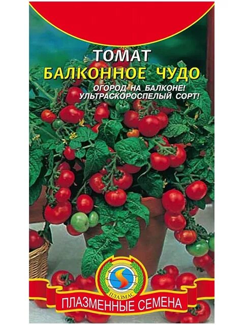 Помидоры чудеса описание сорта фото отзывы Томаты Томаты низкорослые