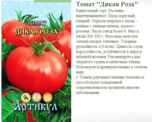 Помидоры дикая роза описание сорта фото отзывы Артикул томат Дикая Роза 0,1г - Агро-акцент