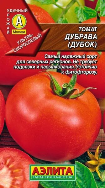 Помидоры дубок описание фото Томаты Аэлита 1 - купить по выгодным ценам в интернет-магазине OZON (546905248)