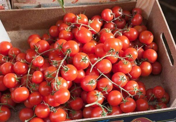 Помидоры дульки фото Imagini pentru tomate pachino di sicilia Tomato, Sicilian, Cherry tomatoes