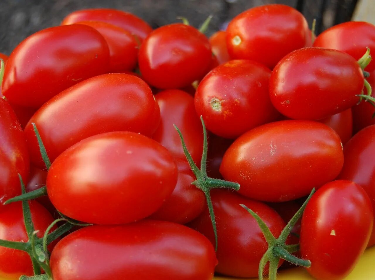 Помидоры дульки фото grape tomato igardendaily Tomato seeds, Tomato garden, Edible garden