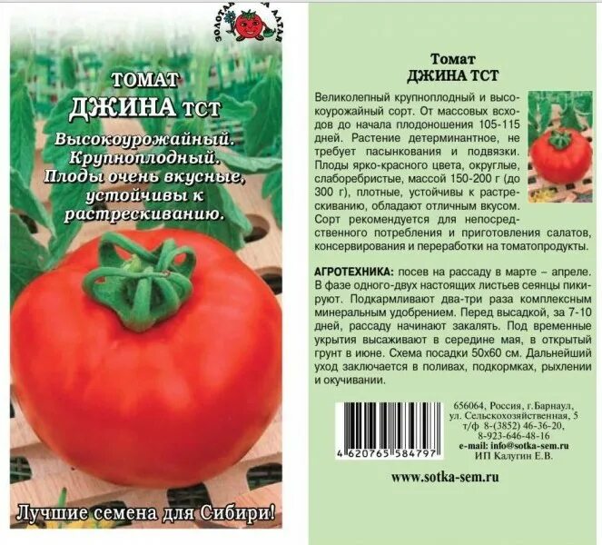 Помидоры джина описание сорта фото отзывы Томат джина характеристика и описание - CormanStroy.ru