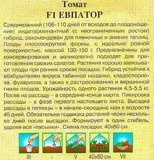 Помидоры евпатор описание сорта фото Томат Евпатор: характеристика и описание сорта, урожайность, отзывы с фото