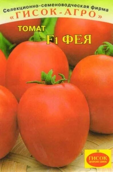 Помидоры фея описание сорта фото отзывы Купить Томат "ТомАгроС" Фея F1 15 сем в Онсад.ру с доставкой Почтой