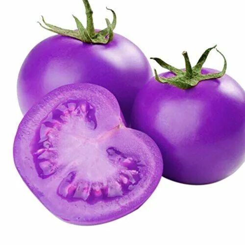 Помидоры фиолетовые сорта фото Sunywear 20Pcs/Pack Annual Temperate Purple Tomato Seeds Garden Bonsai Seeds Veg