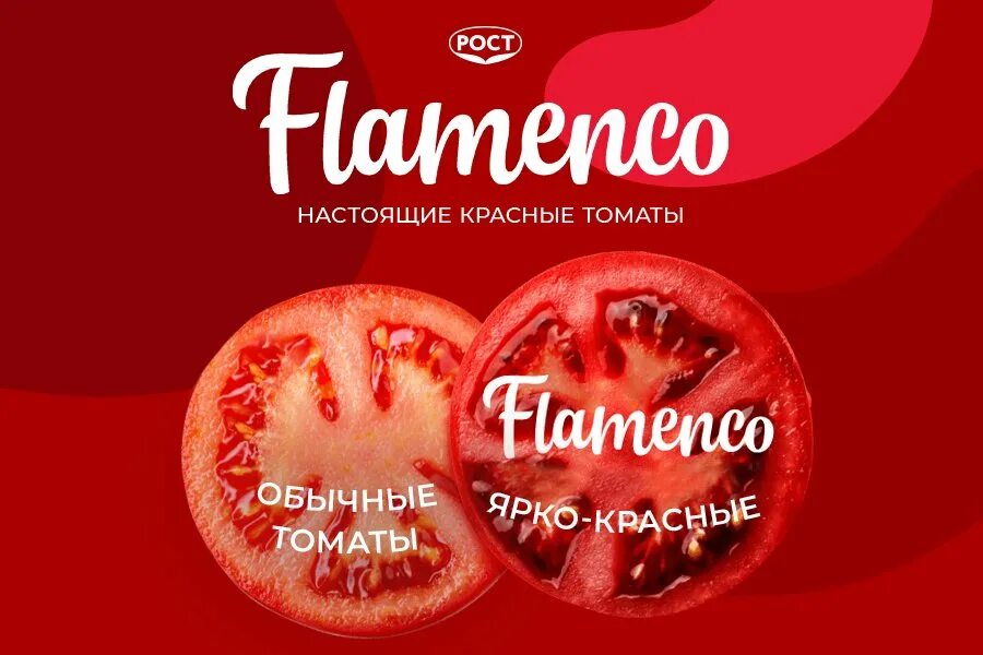 Помидоры фламенко фото Найдены идеальные томаты для салата - FLAMENCO: насыщенно-красные как внутри, та