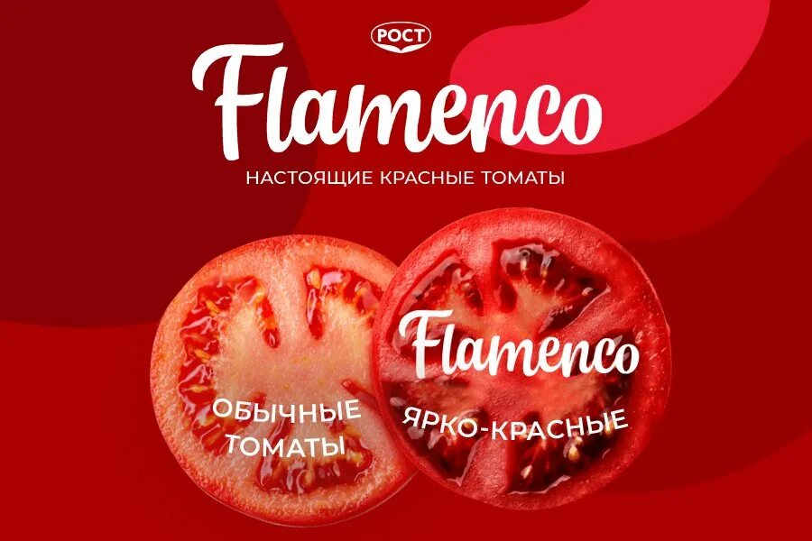 Помидоры фламенко описание сорта фото Найдены идеальные томаты для салата - FLAMENCO: насыщенно-красные как внутри, та