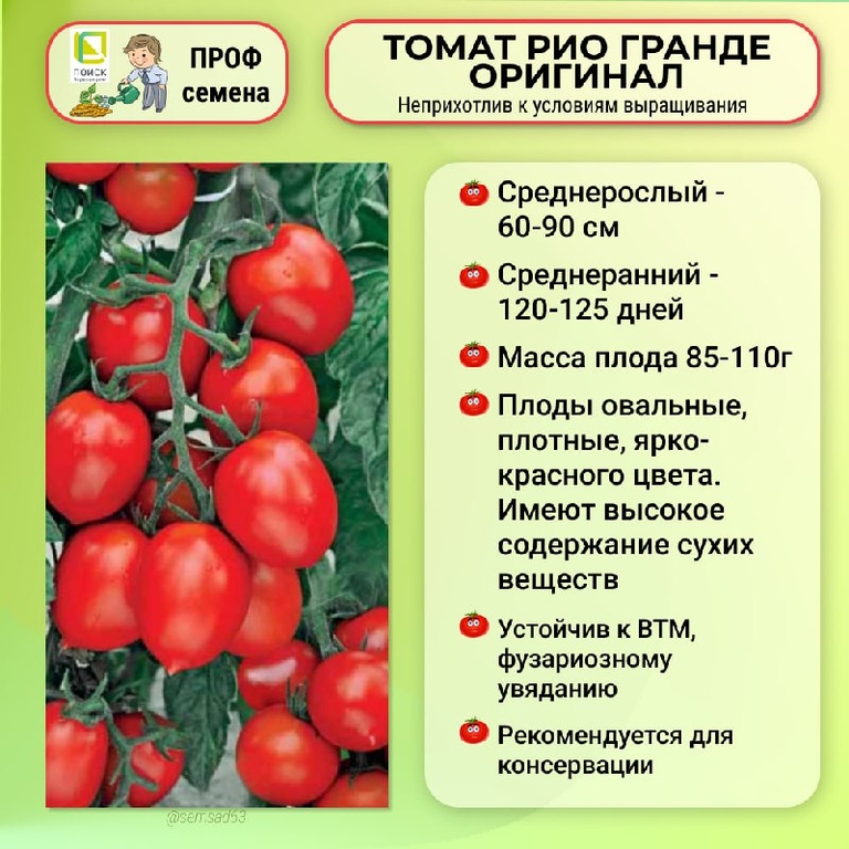 Помидоры гранд описание сорта фото отзывы Томат Рио Гранде Оригинал 20 шт Поиск, Урожайность - до 60 т/га. При этом, плоды