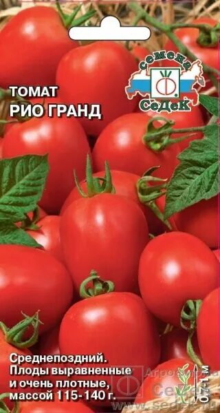 Помидоры гранд описание сорта фото отзывы Томат Рио Гранд 0,2 гр СДК ! НОВИНКА! (280456165) купить с доставкой по доступно