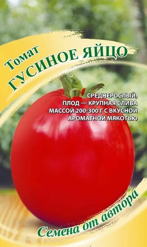 Помидоры гусиное яйцо описание сорта фото Семена Томат Гусиное Яйцо : описание сорта, фото - купить с доставкой или почтой