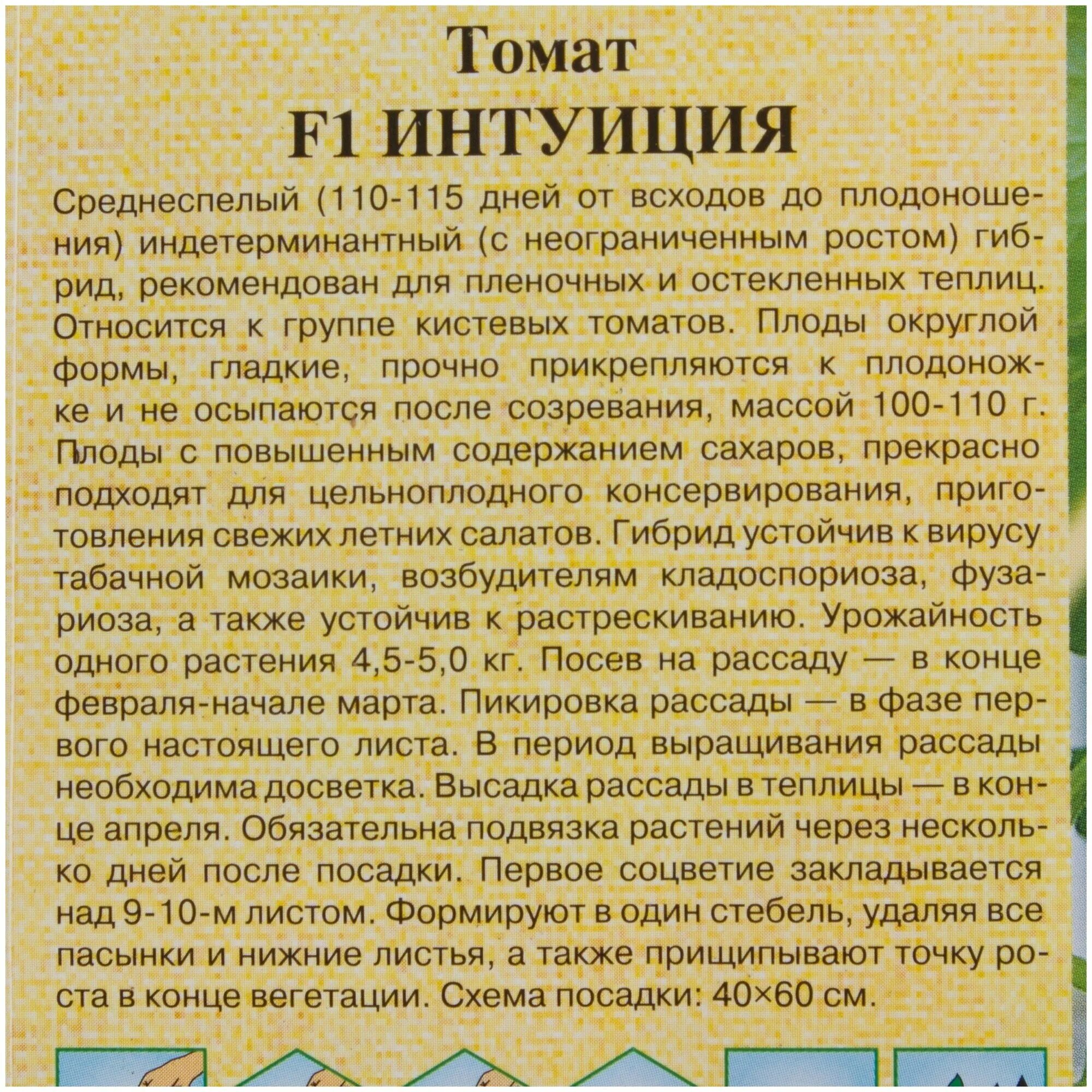 Помидоры интуиция отзывы фото урожайность Семена Гавриш Семена от автора Томат Интуиция F1 12 шт. - купить в интернет-мага