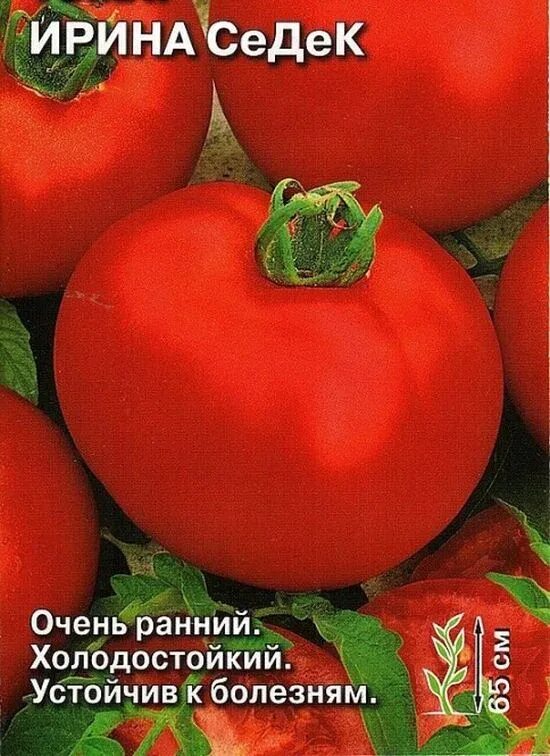 Помидоры ирина описание сорта фото Семена Томат Ирина СеДеК: описание сорта, фото - купить с доставкой или почтой Р