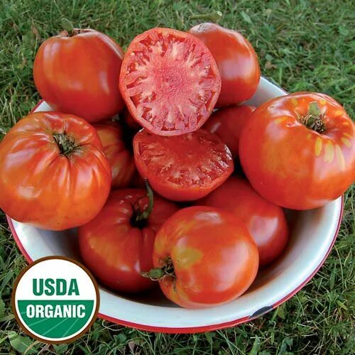 Помидоры итальянский фото Italian Heirloom Tomato Heirloom Tomato Favorites Heirloom tomato seeds, Heirloo