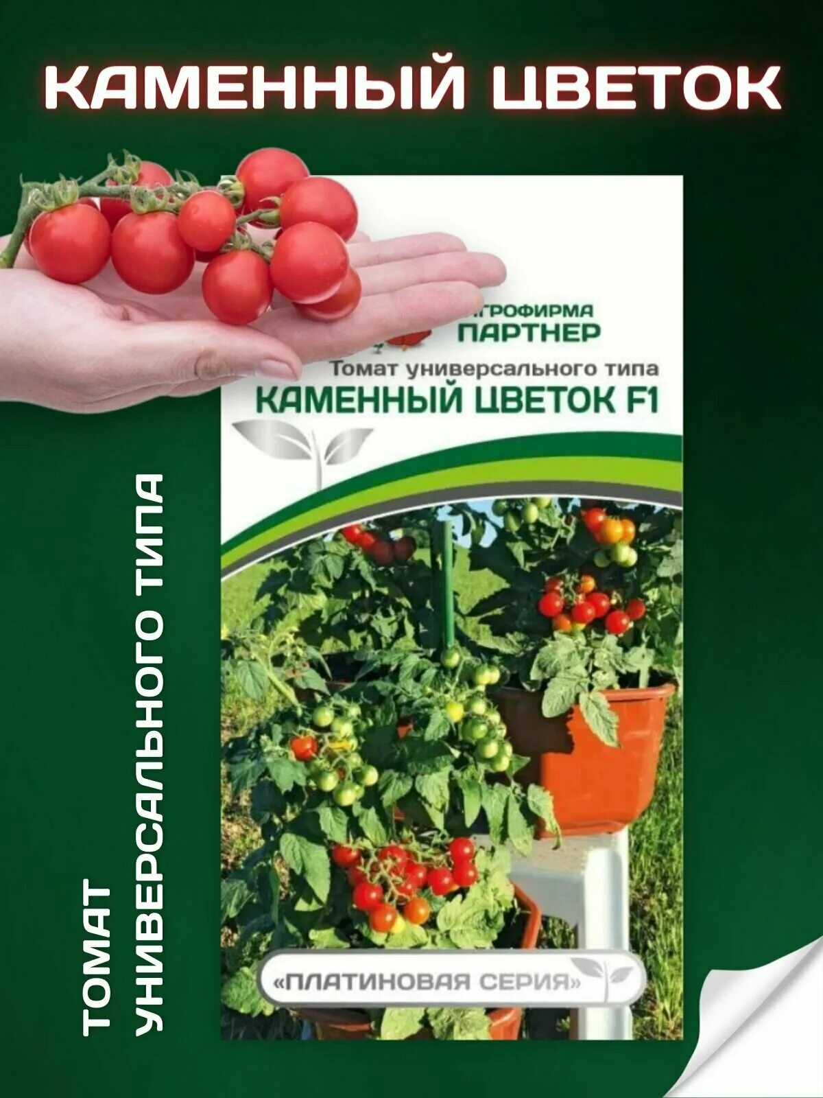 Помидоры каменный цветок фото Агрофирма Партнер, Семана томата "Каменный цветок" - купить в интернет-магазине 