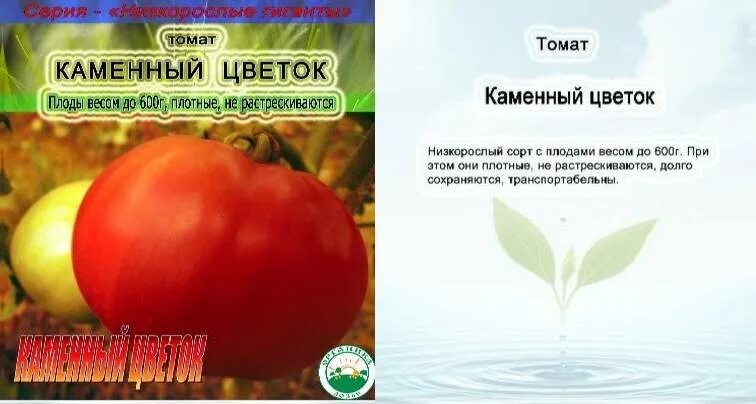 Помидоры каменный цветок отзывы фото Томат "Каменный цветок": характеристика и описание сорта, фото, отзывы