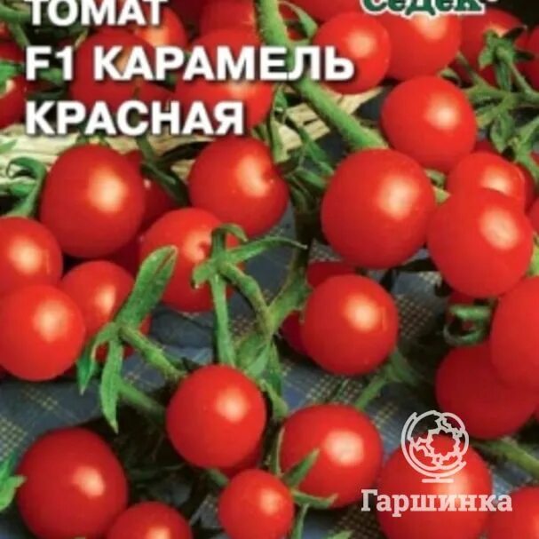 Помидоры карамелька описание сорта фото отзывы Семена Томат Карамель красная 0,1г купить в интернет-магазине * bigsad