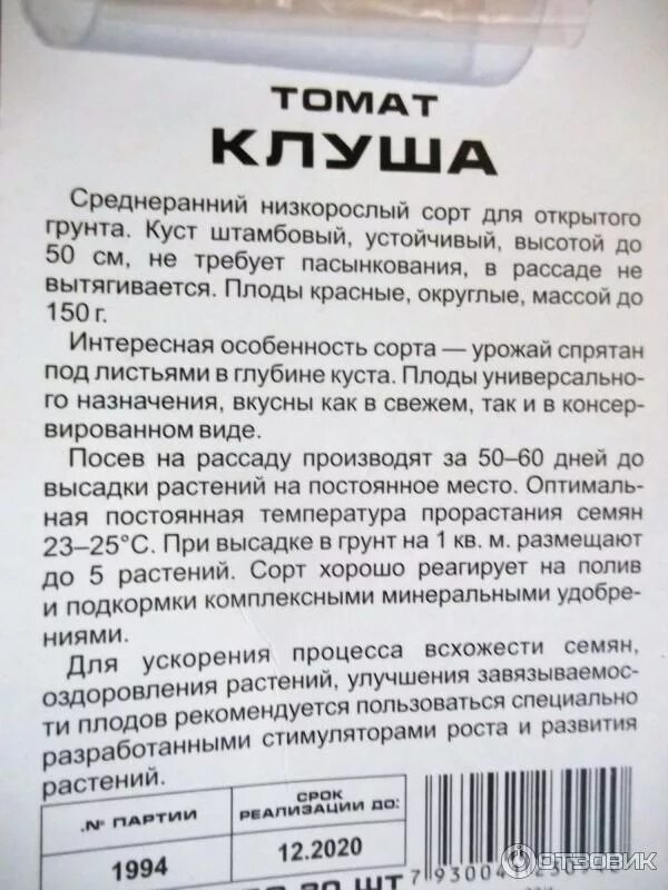 Помидоры клуша описание отзывы фото Отзыв о Семена Сибирский сад Томат "Клуша" Отличная всхожесть.