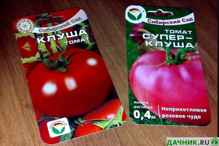 Помидоры клуша описание сорта фото Томат Клуша: обзор вкусного сорта Дачник.RU Дзен