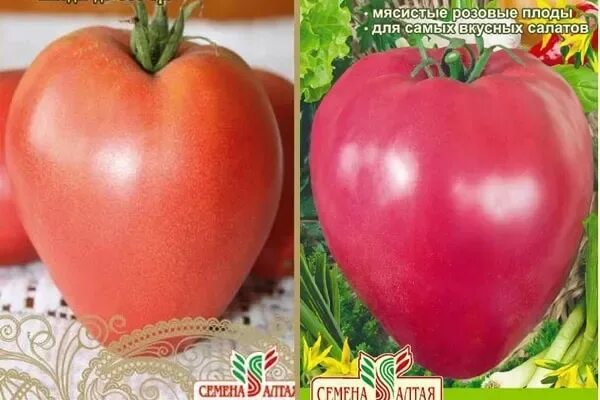 Помидоры королевич фото ✅ Tomato Korolevich: description and characteristics of the variety, the opinion