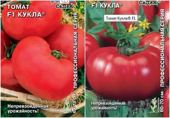 Помидоры кукла отзывы фото Томат Кукла Маша (СЕДЕК): Фото и Семена Зеленый рай Фотогалерея природы на dia-l