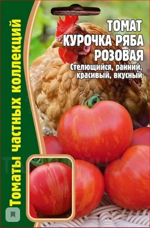 Помидоры курочка ряба описание сорта фото Томаты Редкие семена Томат Курочка Ряба 10шт_красный - купить по выгодным ценам 