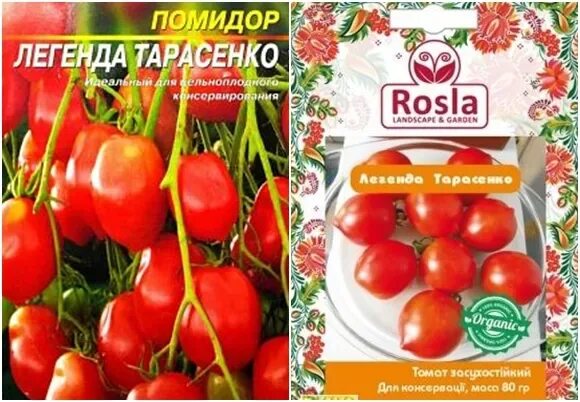 Помидоры легенда тарасенко отзывы фото ✅ Tomato Legend Tarasenko (multiflora): çeşitliliğin özellikleri ve açıklaması, 