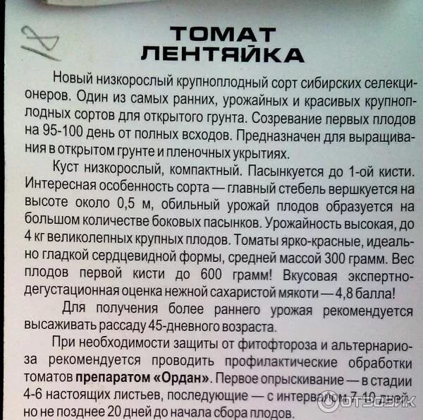 Помидоры лентяйка описание фото Отзыв о Семена томата Сибирский сад "Лентяйка" Томат для ленивых огородников.