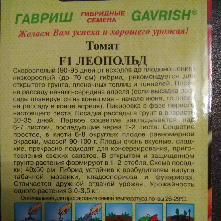 Помидоры леопольд описание сорта фото отзывы Томат Леопольд F1 - описание семян с фотографиями растения. Отзывы покупателей