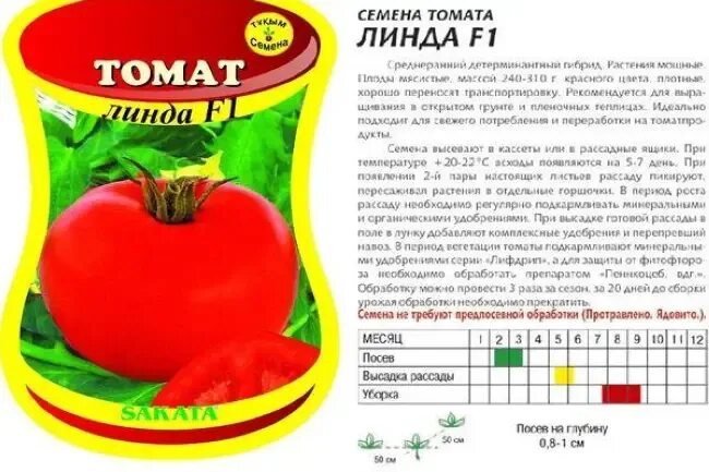 Помидоры линда отзывы фото Помидоры линда фото - DelaDom.ru