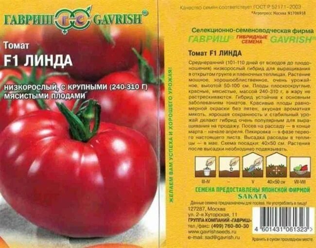 Помидоры линда отзывы фото Ранние низкорослые томаты сибирской селекции для открытого грунта