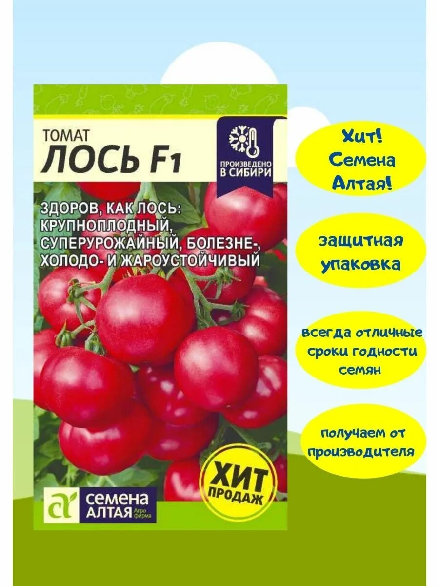 Помидоры лось описание сорта фото Томаты Семена Алтая Томат - купить по выгодным ценам в интернет-магазине OZON (8