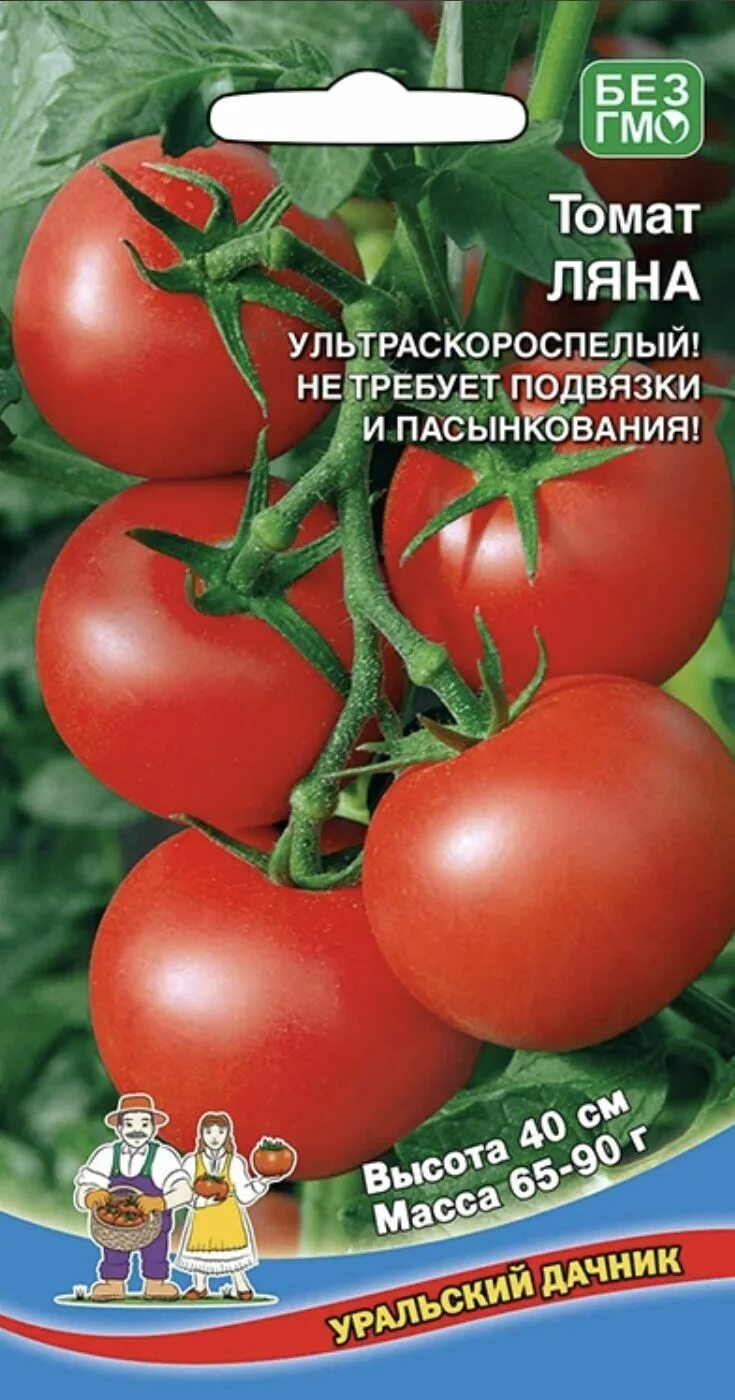 Помидоры ляна описание сорта фото отзывы Томаты Уральский дачник Томат - купить по выгодным ценам в интернет-магазине OZO