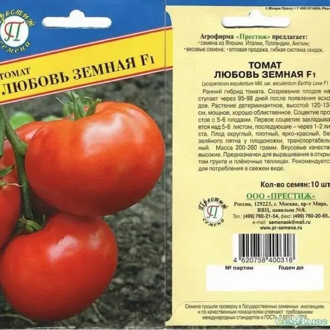 Помидоры любовь описание сорта фото Томат любовь и голуби фото: найдено 81 изображений