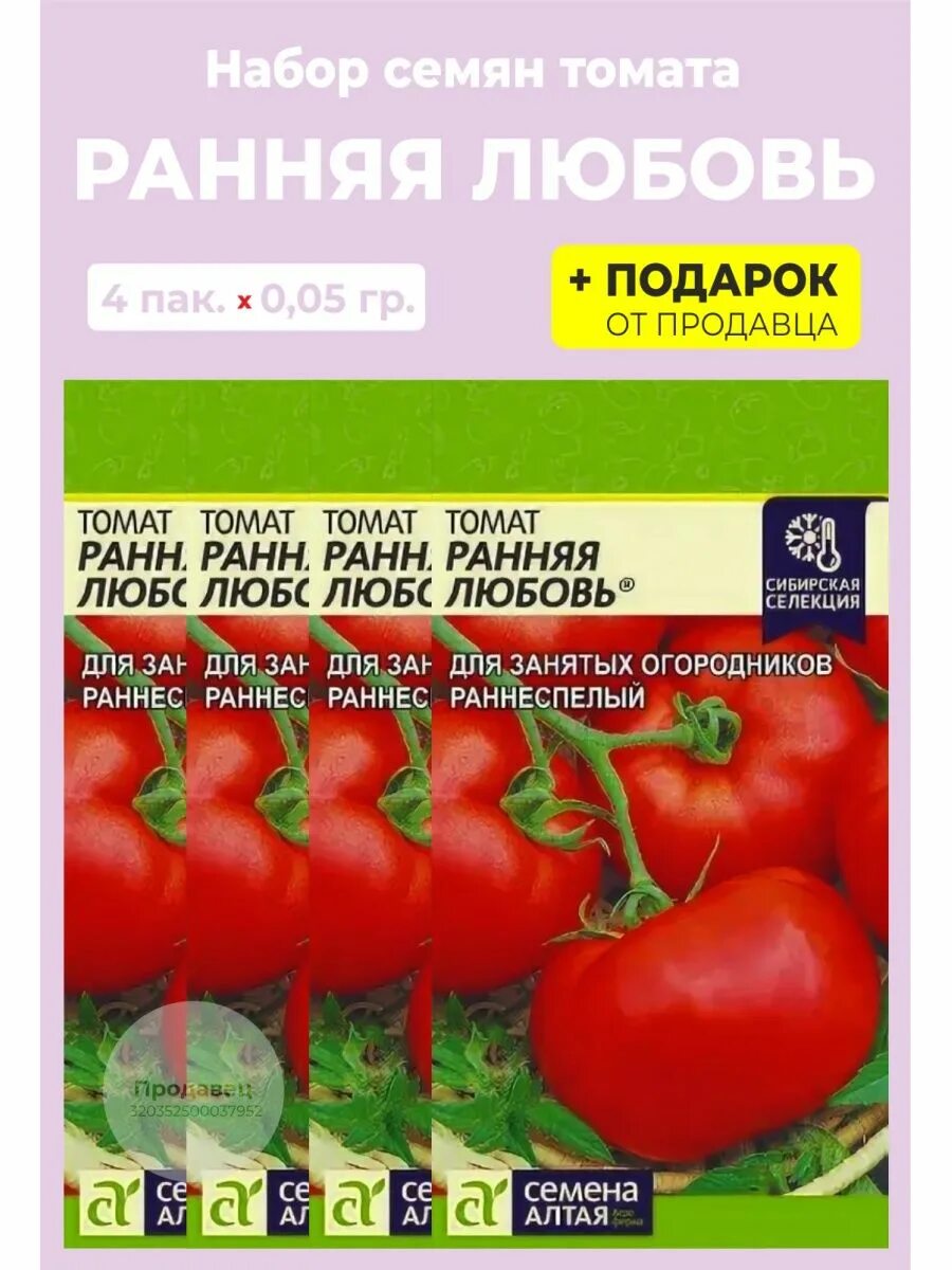 Помидоры любовь описание сорта фото Семена томат "Ранняя любовь" Семена Алтая 99551145 купить за 195 ₽ в интернет-ма