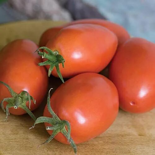 Помидоры маленькие фото Burpee Amish Paste Tomato Seeds 25 seeds Heirloom tomato seeds, Tomato seeds, Gr