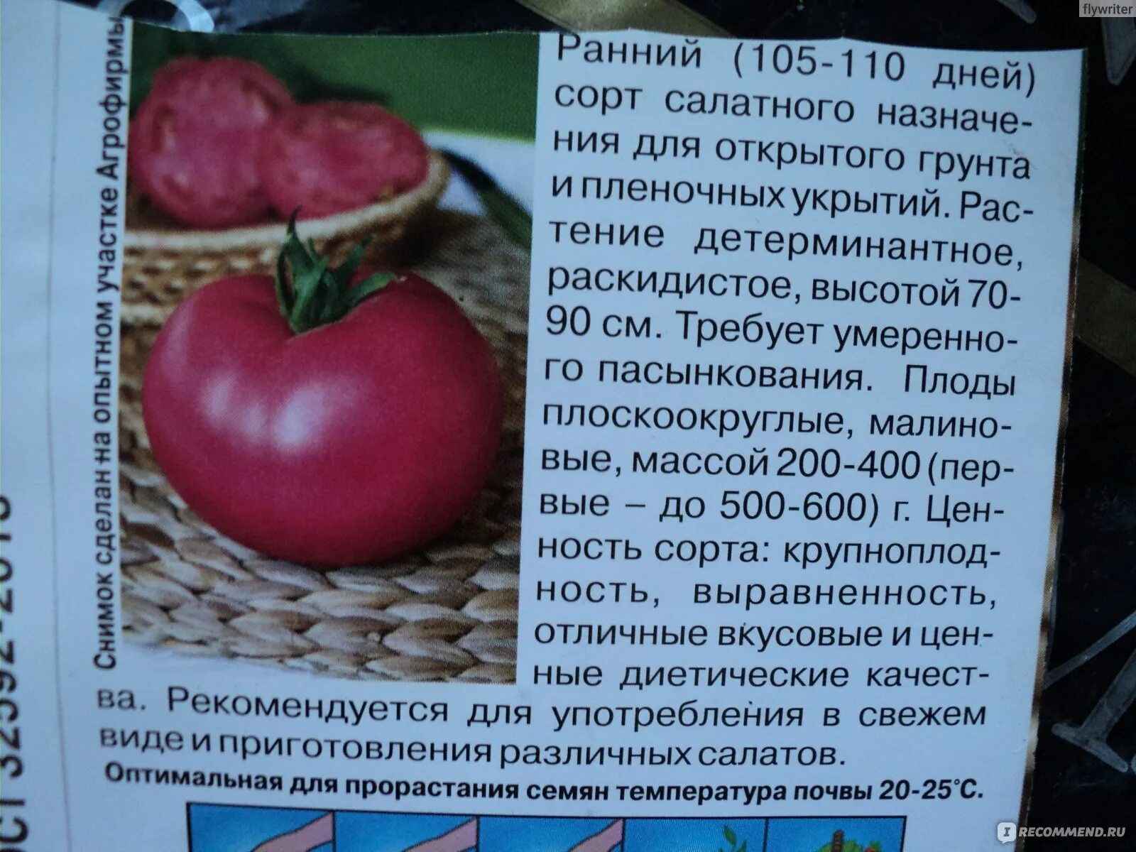 Помидоры малиновый описание сорта фото отзывы Семена СеДек томат Малиновый гигант - "Вкусный, сладкий сорт, идеален для салати