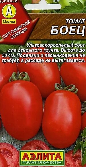 Помидоры мамонтенок описание сорта фото отзывы Томат Боец - Продажа семян Аэлита оптом и в розницу - ООО "Семена и Селекция"