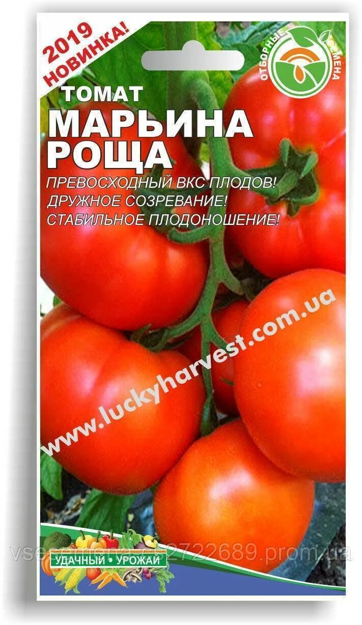 Помидоры марьина роща фото Томат "Марьина роща": описание, урожайность, отзывы, фото