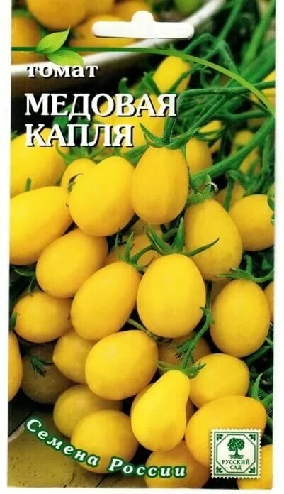 Помидоры медовая капля фото отзывы описание Томат Медовая капля Garden plants, Tomato, Fruit