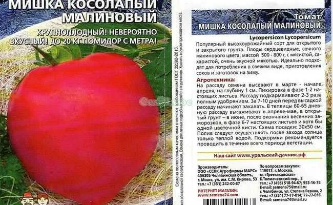 Помидоры мишка косолапый описание сорта фото отзывы Помидоры "мишка косолапый": описание сорта, характеристики, агротехника, отзывы