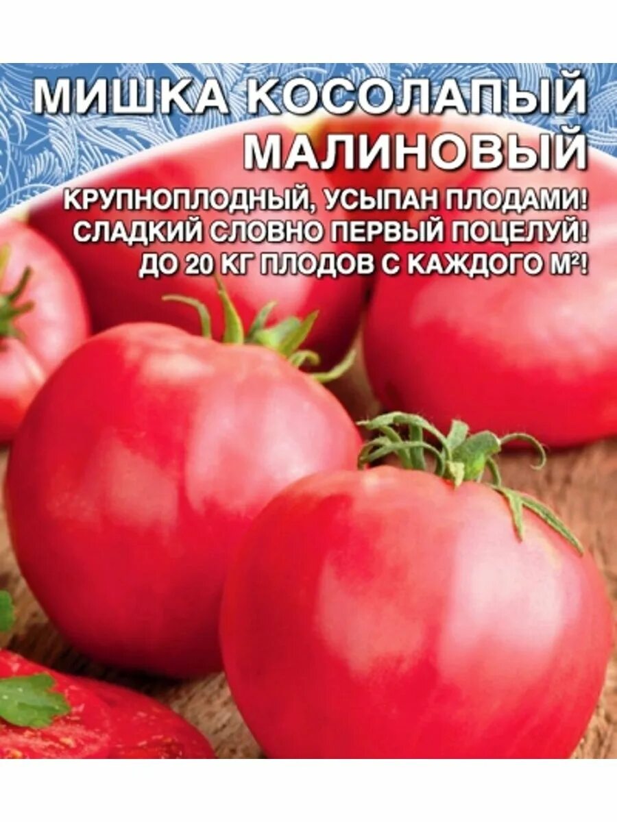 Помидоры мишка косолапый отзывы фото Семена Томат Мишка Косолапый малиновый Уральский Дачник 155129744 купить за 136 