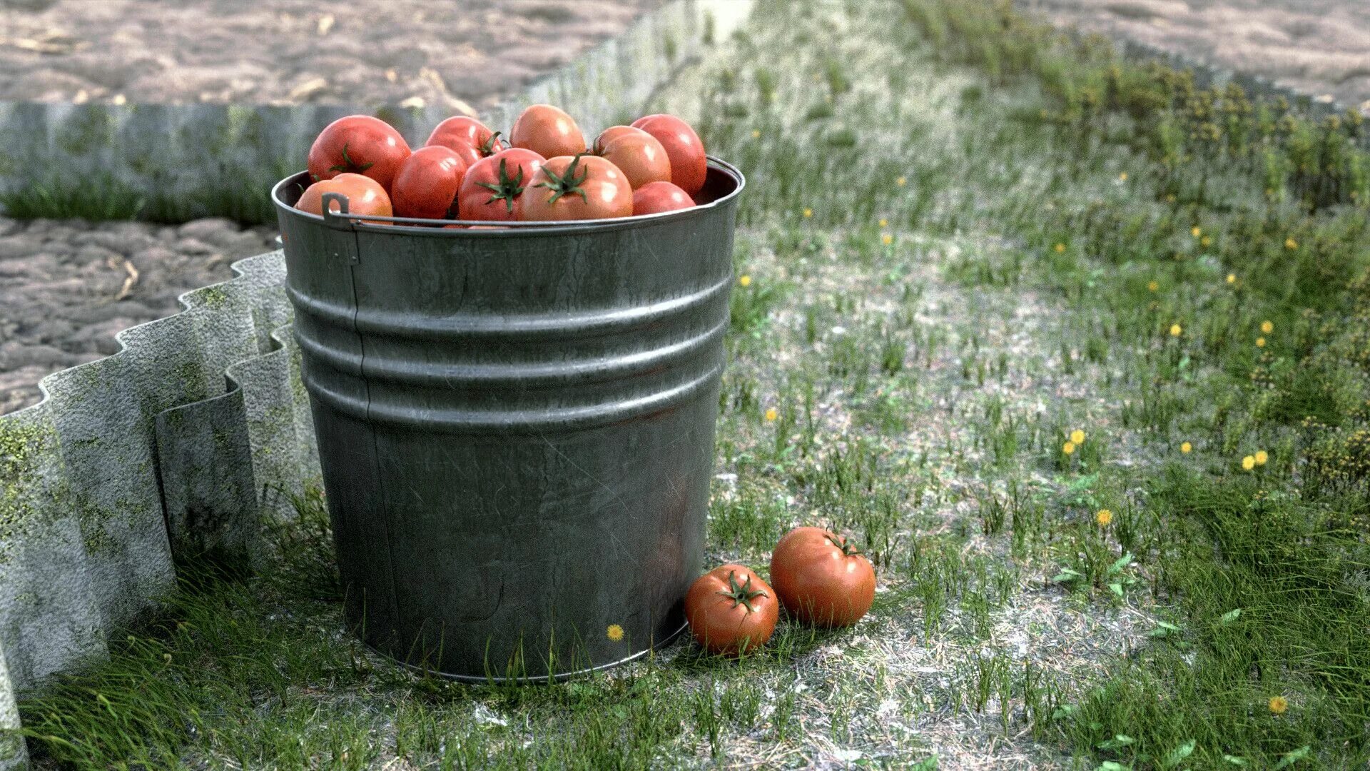 Помидоры моченые в ведре фото Harvest by Pavel DeschainSomewhere I saw a picture of tomatoes in a bucket and t