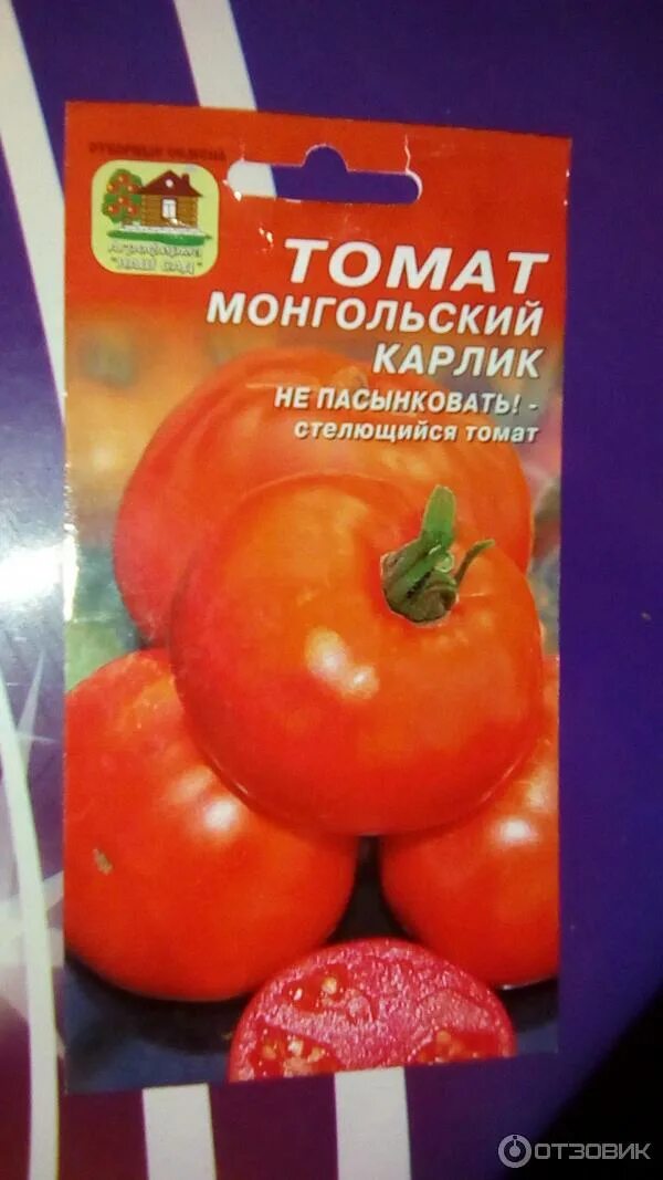 Помидоры монгол фото Отзыв о Семена томата Наш сад "Монгольский карлик" Стелющийся сорт.