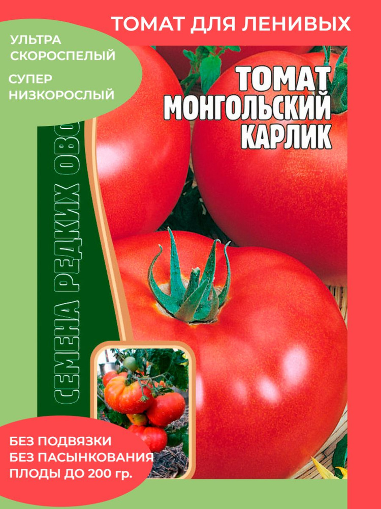 Помидоры монгол карлик отзывы фото Томаты ЕЛЕСАД монгол01 - купить по выгодным ценам в интернет-магазине OZON (8420