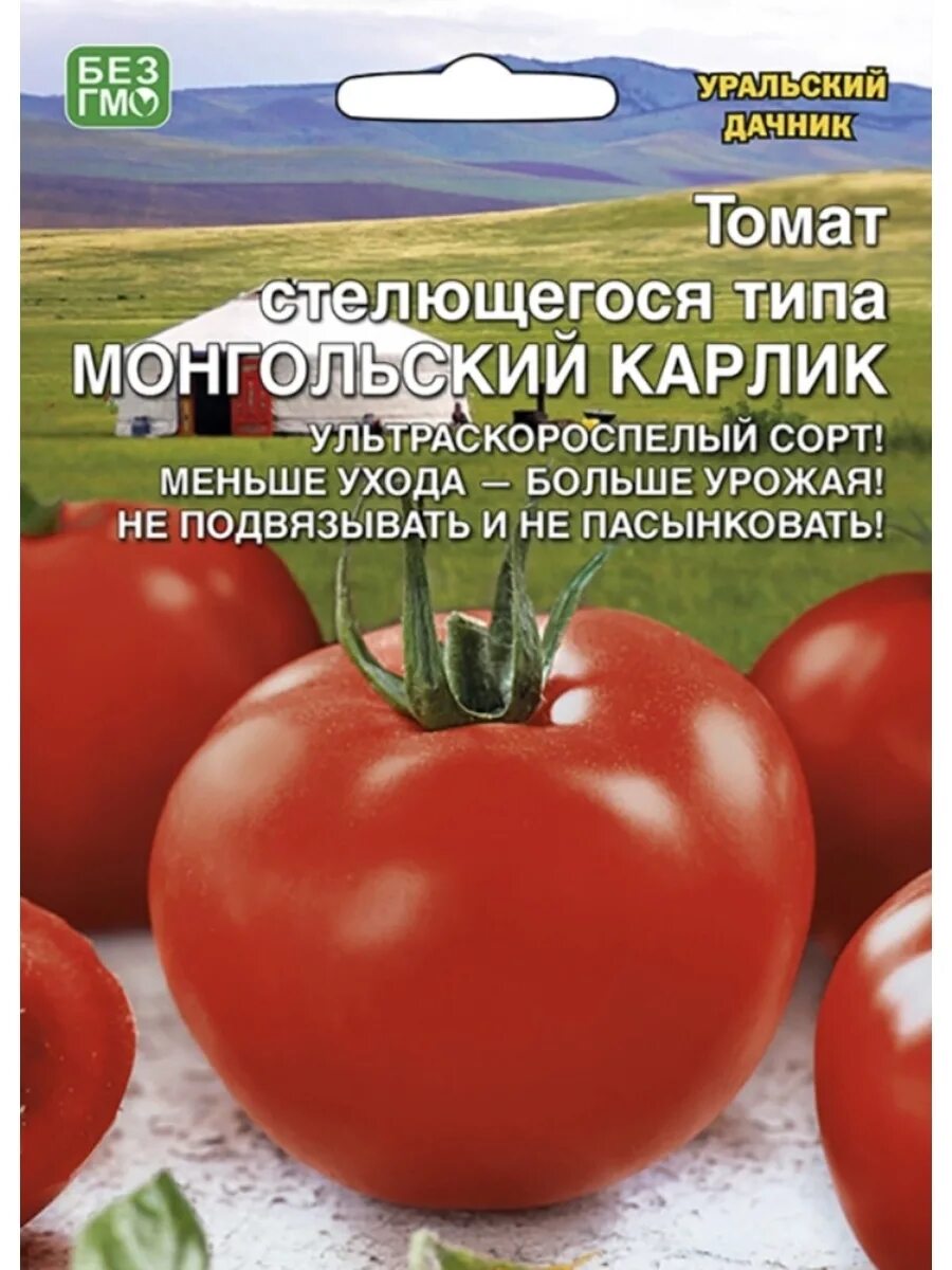 Помидоры монгол карлик отзывы фото Семена томатов Монгольский Карлик 10 пачек BoriNat 83824036 купить за 777 ₽ в ин