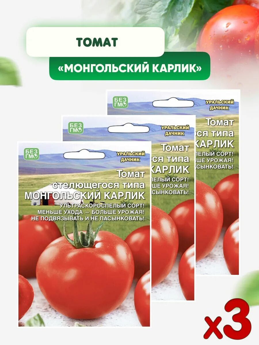 Помидоры монгол описание сорта фото отзывы Характеристики Семена томата Монгольский карлик стелющегося типа, бренда Уральск