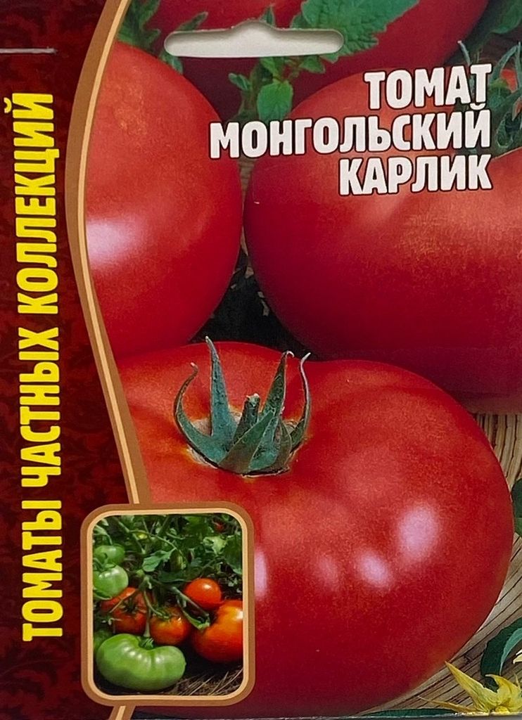 Помидоры монгол описание сорта фото отзывы Томаты Томат Монгольский карлик (8 шт/упак) РЕДКИЕ - купить по выгодным ценам в 