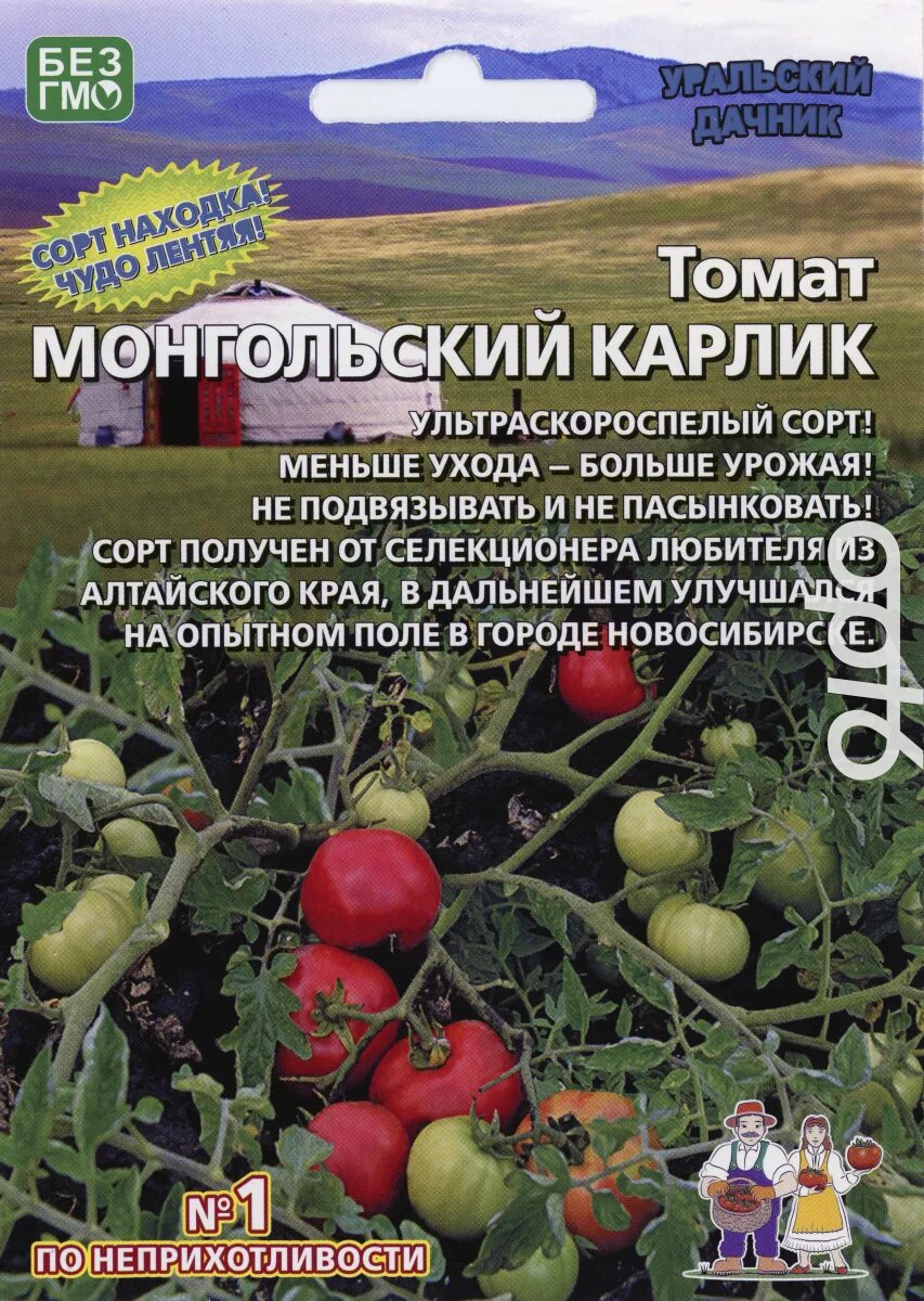 Помидоры монгольский карлик фото и описание Томат Монгольский карлик, 20 шт. от 95 руб. в Москве. Звоните!