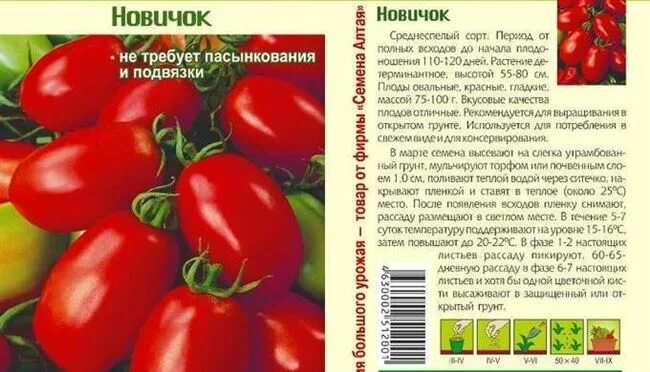 Помидоры новичок фото и описание Томат Новичок красный: отзывы, фото, урожайность